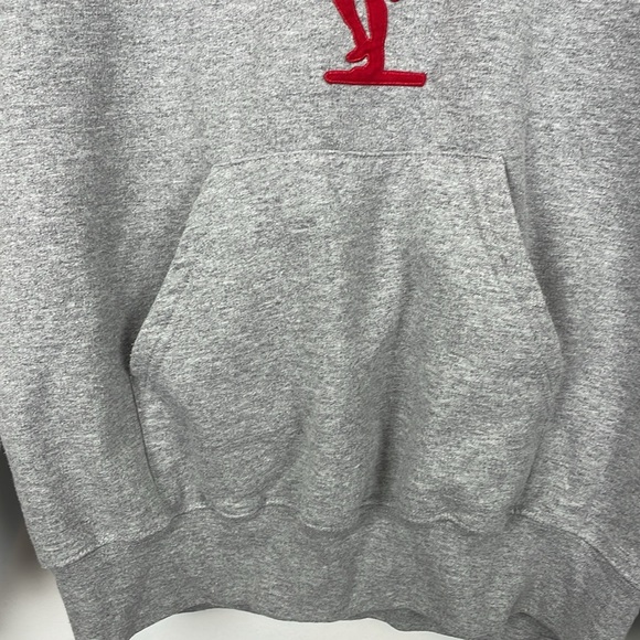 Champion Redskins Hoodie Sweatshirt Mens M Pullover Long Sleeve Kangaroo Pocket - Picture 4 of 9